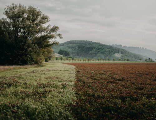 Klimatická změna nás učí přistupovat k městům i krajině jinak