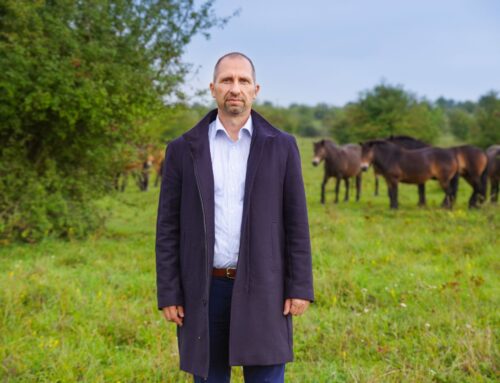 Divocí koně či zubři jsou krajinoví inženýři, ovlivňují celé ekosystémy, říká zakladatel milovické rezervace