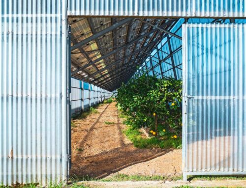 Itálie dala miliardu eur na agrovoltaiku. Na Sardinii ale soláry nechtějí, bojí se jejich zneužití mafií